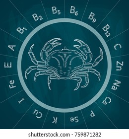 Useful properties of sea crab. Microelements and vitamins contained in the crab. A chalk drawing on a blackboard and a sketch of a sea crab. Vector illustration