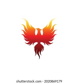using the concept of phoenix 