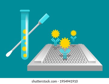 Using graphene-based electrochemical sensor for rapid detecting COVID-19 in less than five minutes. Vector illustration