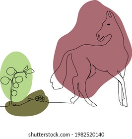 Using horse and garden manure in one line in color	
