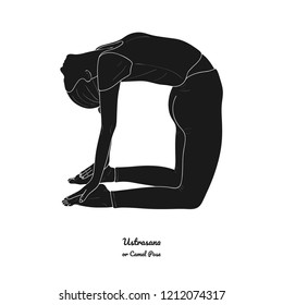 Ustrasana or Camel Pose. Vector. 