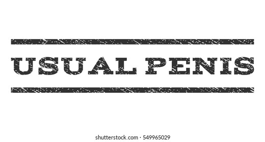 Usual Penis watermark stamp. Text tag between horizontal parallel lines with grunge design style. Rubber seal gray stamp with dirty texture. Vector ink imprint on a white background.