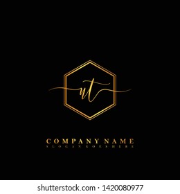 UT Initial luxury handwriting logo vector