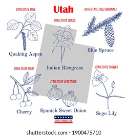 Utah. Set Of USA Official State Symbols. Vector Hand Drawn Illustration