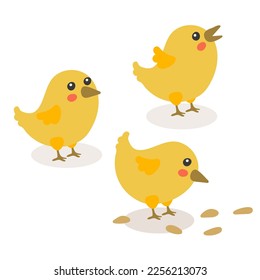 ute cartoon chicken set. Funny yellow chickens in different poses, vector simple illustration. Chickens for Easter. Chicken to the seeds, looks at the top, screams. Isolated