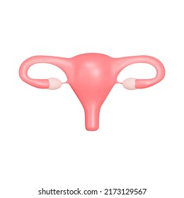 Uterus 3d Icon. Female Genital Organ. Isolated Object On A Transparent Background