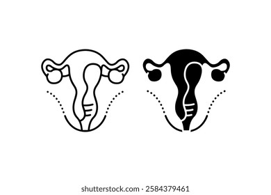 Uterus anatomy icons in outline and solid Vector