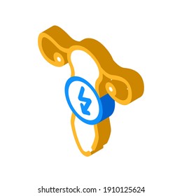 uterus cutting ache isometric icon vector. uterus cutting ache sign. isolated symbol illustration
