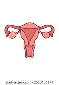 uterus doodle illustration, vector illustration