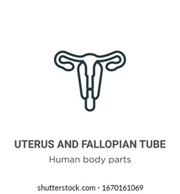 Uterus and fallopian tube outline vector icon. Thin line black uterus and fallopian tube icon, flat vector simple element illustration from editable human body parts concept isolated stroke on white 