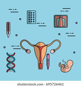 uterus fertilization pregnancy set collection medical icons