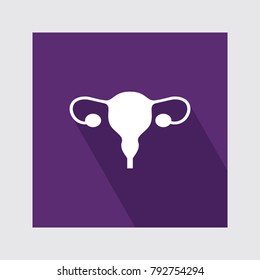 Uterus flat icon with long shadow