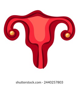 Uterus is flat style. Vector illustration of the uterus. The internal organs of a person. Vector illustration. Part of the set is menstruation. Shades of pink. Isolated image on a white background