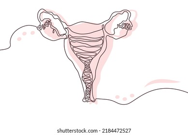 Uterus Hand dibujó un dibujo de línea continua de icono y una silueta plana rosa. Órganos humanos. Concepto de moda en medicina Diseño de una sola línea. Dibujo de imagen simple en blanco y negro Vector