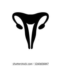Uterus Icon. An Internal Organ Vector. Human Anatomy  Illustration. Applied as Trendy Symbol for Design Elements, Websites, Presentation and Application - Vector.