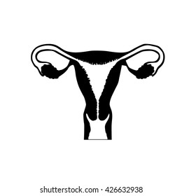 uterus icon on white background