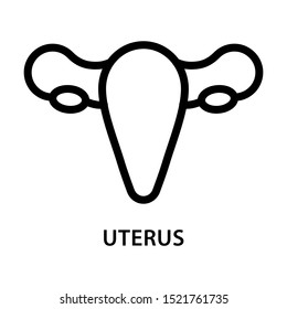 Uterus icon. Simple design. Line vector. Isolate on white background.