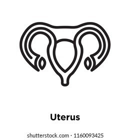 Uterus icon vector isolated on white background, Uterus transparent sign , line and outline elements in linear style