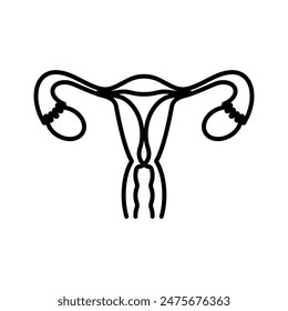 Uterus, line icon. Female Reproductive System, gynecology, women's health, ovulation, menstruation, conception, pregnancy symbol. Linear illustration, editable stroke, thin line