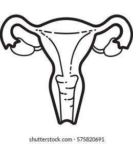 Uterus line vector icon of set Human internal organs. Isolated illustration on white background