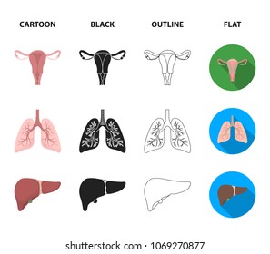 Uterus, lungs, liver, pancreas. Organs set collection icons in cartoon,black,outline,flat style vector symbol stock illustration web.