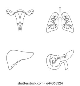 Uterus, lungs, liver, pancreas. Organs set collection icons in outline style vector symbol stock illustration web.