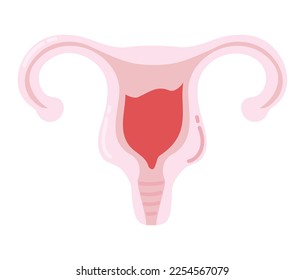 uterus and menstruation, period power icon