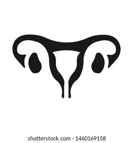 Uterus organ flat vector icon