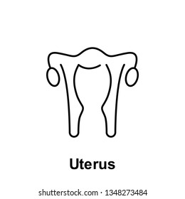 Uterus, organ icon. Element of human organ icon. Thin line icon for website design and development, app development. Premium icon