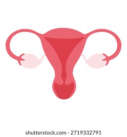 Útero, ovarios, trompas de Falopio y cuello uterino que ilustran la anatomía femenina humana