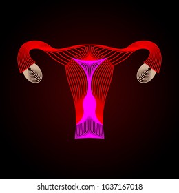 Uterus with ovary, cervix, fallopian tubes isolated on background. Female reproductive system. Healthy womb. Gynecology, anatomy concept. Human internal organs.