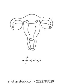 Uterus poster drawing in pen line style on white background