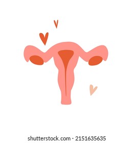 uterus vector hand drawn on a white background