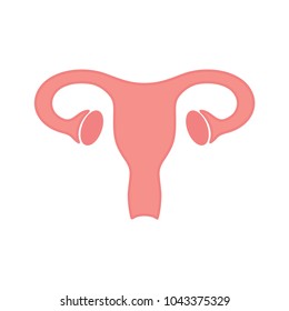 Uterus vector icon