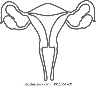 Uterus Vector Icon, Female Uterus Icon
