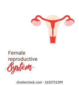 Uterus vector icon Illustration, Human anatomy. Female reproductive system, Outline women's reproductive organs. Organs location scheme uterus, cervix, ovary, fallopian tube icon. 