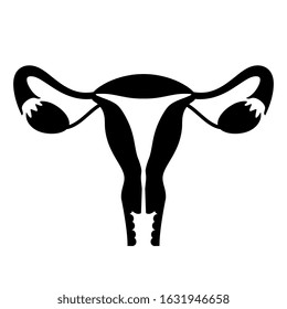 Uterus vector icon isolated on white background