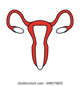 uterus vector illustation 