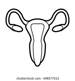 uterus vector illustration