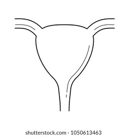 Icono de línea vectorial Uterus aislado en fondo blanco. Sistema urinario. Bladder, ícono de línea de útero para infografía, sitio web o aplicación. Icono diseñado en un sistema de cuadrícula.