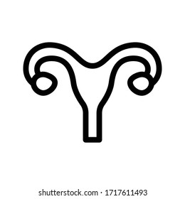 uterus vector thin line icon 