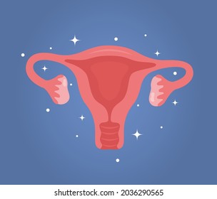 Uterus. Woman Reproductive Health Illustration. Gynecology. Anatomy Vector Illustration