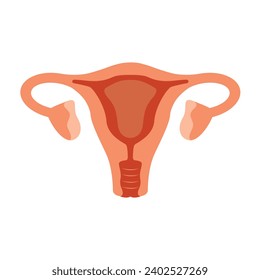 Uterus. Woman reproductive health illustration. Gynecology. Anatomy Vector illustration
