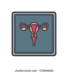 uterus x-ray organs icon