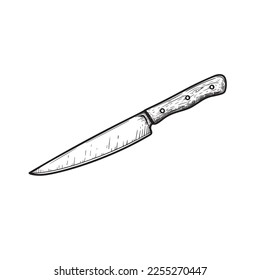 Utility knife with wooden handle. Butcher and kitchen utensil. Chef's tool. Hand drawn sketch style drawing. Vector illustration.