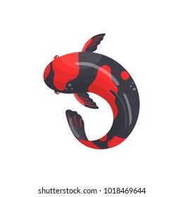 Utsurimono Carp Koi fish, traditional sacred Japanese fish vector Illustration