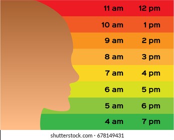 uv index . The infographic time . sunrise to sunset