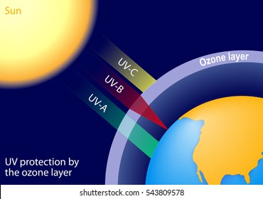 Protección de los rayos UV por la capa de ozono. La radiación UV-B se absorbe parcialmente, la UV-A no se absorbe con fuerza por la capa de ozono y la mayor parte de esta radiación llega a la superficie de la Tierra.