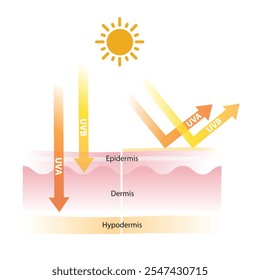 Proteção UV na ilustração do vetor da camada da pele isolada no fundo branco. Radiações UVA e UVB penetram na pele. Protetores solares físicos e minerais refletem os raios UV. Cuidados com a pele e conceito de beleza.