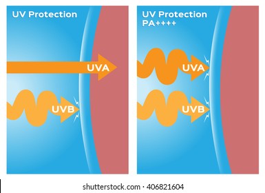 uv protection on skin , ultraviolet vector